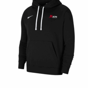 Hoodie ACPA Nike Adultes